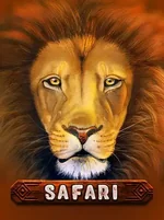 Safari